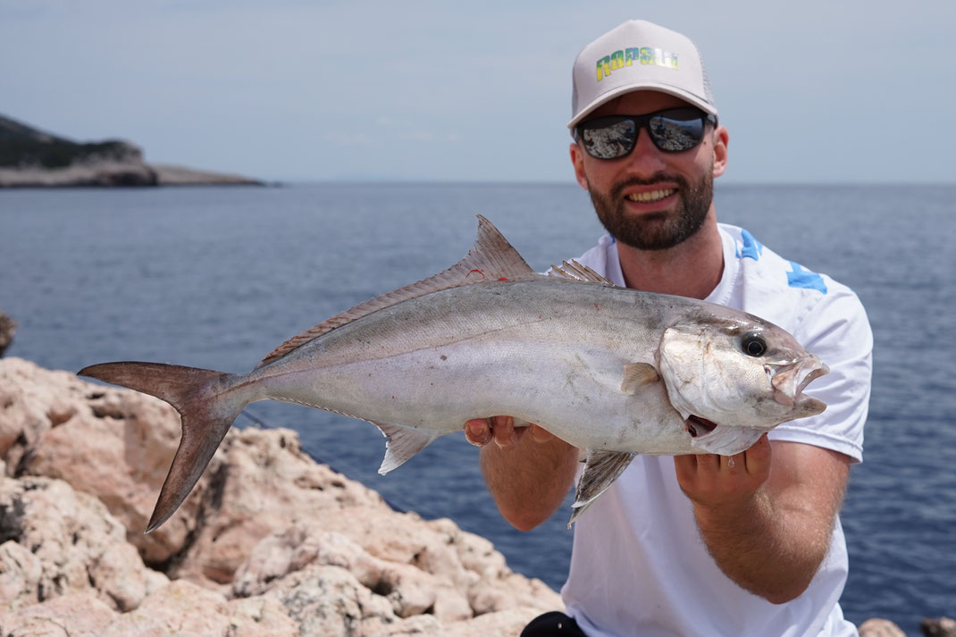 Johannes Höfner | Große Bernsteinmakrele / Grünel / Gelbschwanzmakrele / Bernstein-Stachelmakrele / Greater Amberjack / Reef Donkey | Seriola dumerili | 64cm | Adriatisches Meer | Kroatien | 9. Mai 2024