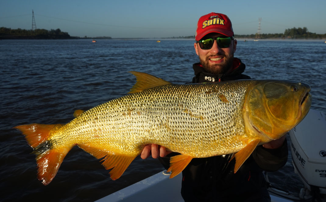 Johannes Höfner | Südamerikanischer Lachssalmler | Salminus brasiliensis | 91cm | Rio Uruguay | Argentinien/Uruguay | 22. Februar 2020