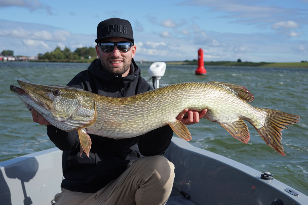 Johannes Höfner | Hecht | Esox lucius | 113cm | Rhein-Schelde-Kanal | Niederlande | 13. September 2023