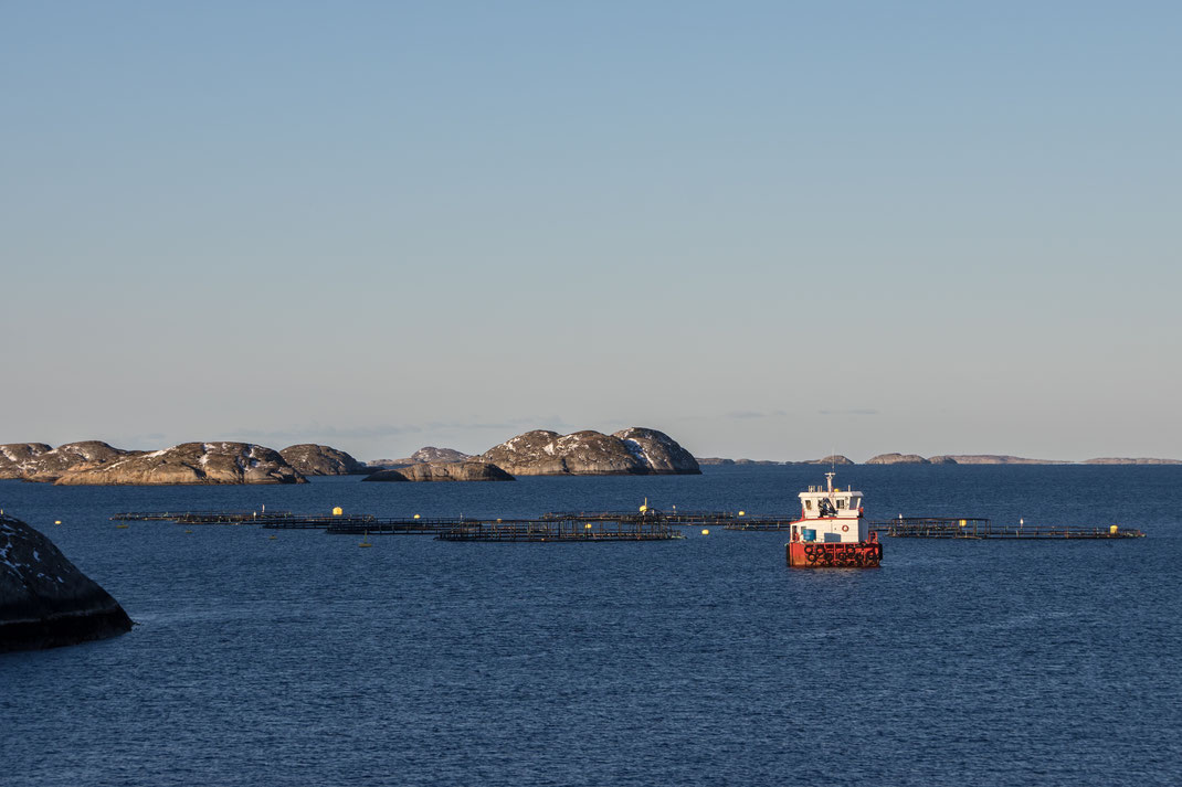 Fischzuchtanlage zwischen den kleinen Inseln an der Küste Norwegens