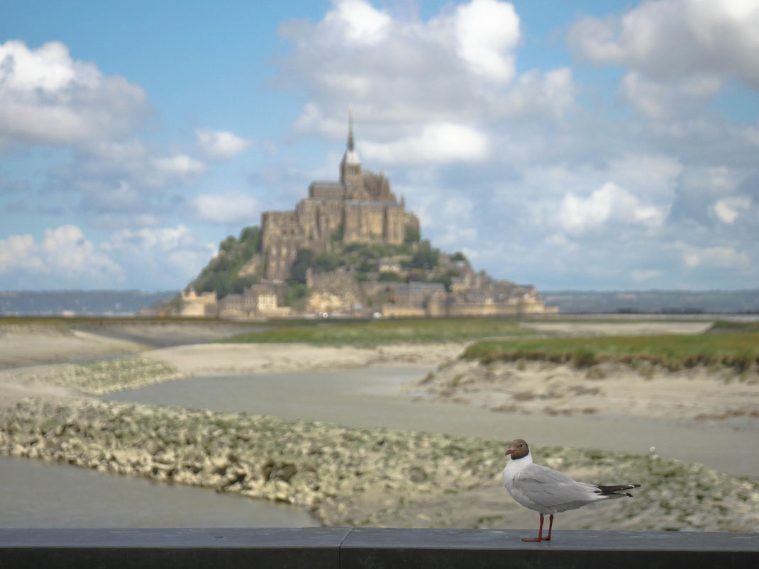 Baie du Mont-Saint-Michel