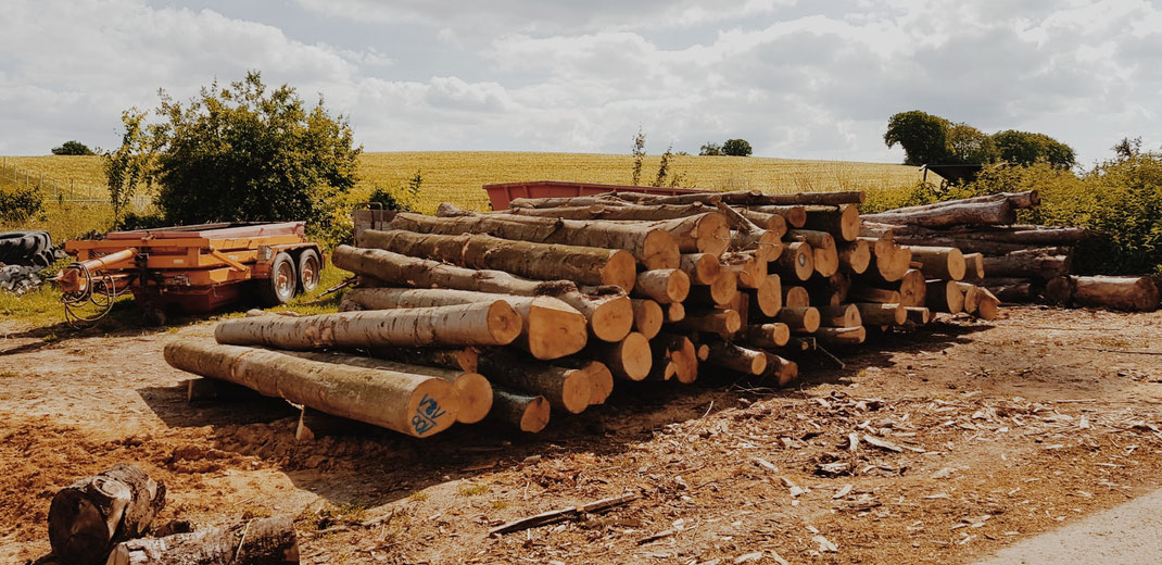 brennholz müller sinsheim holz kaufen ofenfertig waldfrisch regional