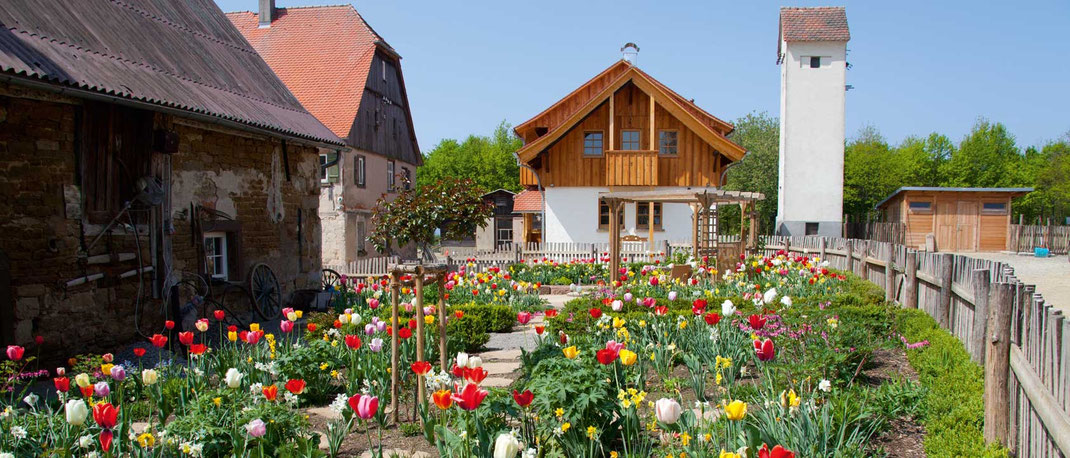 die domane homburger hof die domane homburger hof in grosselfingen der bio bauernhof