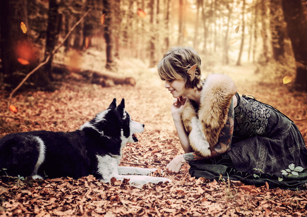 Husky Shooting in Singen Bodensee Mühlhausen Ehingen Tierfotografie Fotoshooting Portrait Fotografie Fotograf Vogt Wangen Ravensburg Fine Art Emotion Hund Portraitfotografie Tier Liebe Tierfoto Natur Kuscheln Fantasy Fantasyfotografie Artist Herbst Elf