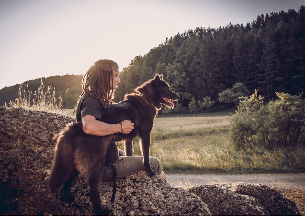 Portrait Fotografie Fotograf Vogt Wangen Ravensburg Fine Art Emotion Hund Portraitfotografie Husky Tierfotografie Tier Liebe Kuscheln Natur Singen Ehingen Wandern Spazieren