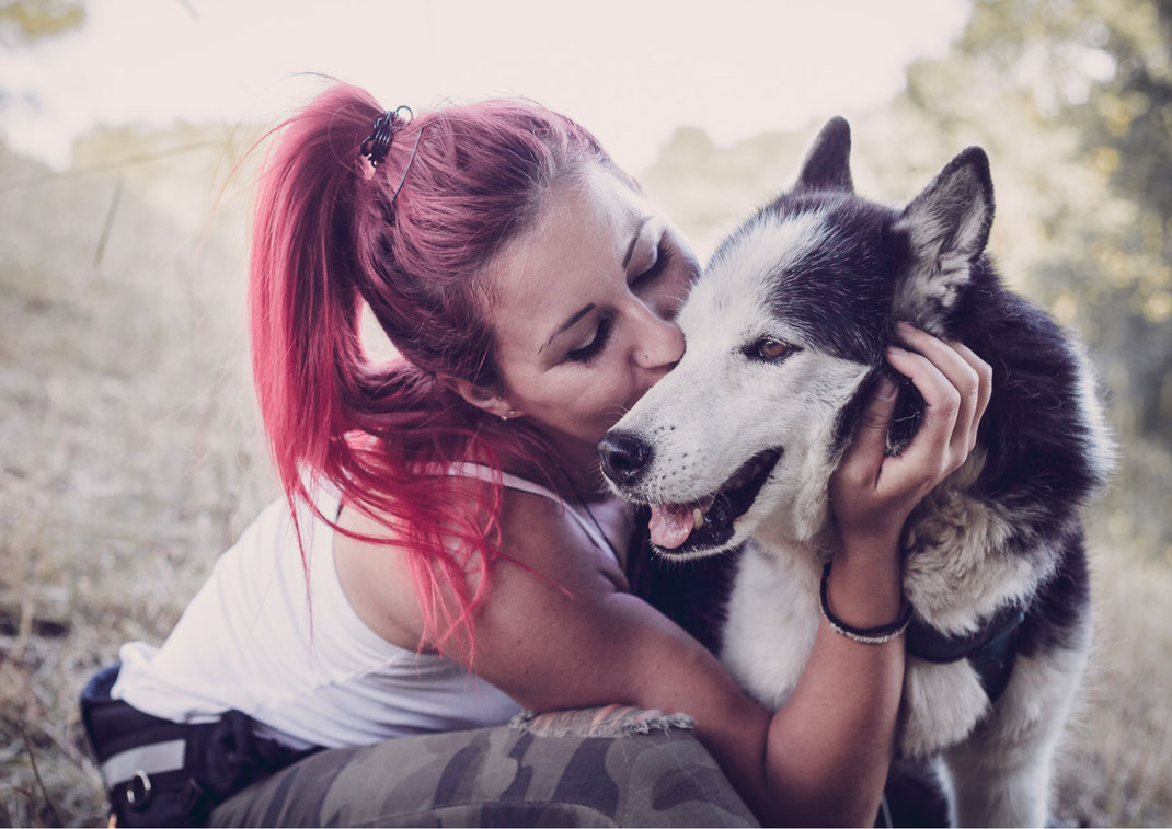 Portrait Fotografie Fotograf Vogt Wangen Ravensburg Fine Art Emotion Hund Portraitfotografie Husky Tierfotografie Tier Liebe Kuscheln Natur Singen Ehingen Wandern Spazieren
