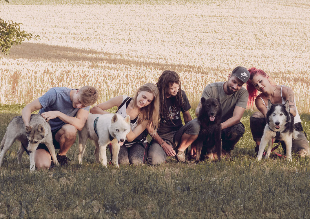 Portrait Fotografie Fotograf Vogt Wangen Ravensburg Fine Art Emotion Hund Portraitfotografie Husky Tierfotografie Tier Liebe Kuscheln Natur Singen Ehingen Wandern Spazieren