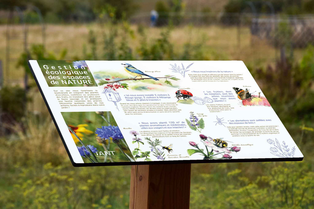 panneau pédagogique, signalétique extérieur, parcours, sentier, gestion différenciée, fauche tardive, gîte, faune, flore, biosidiversité