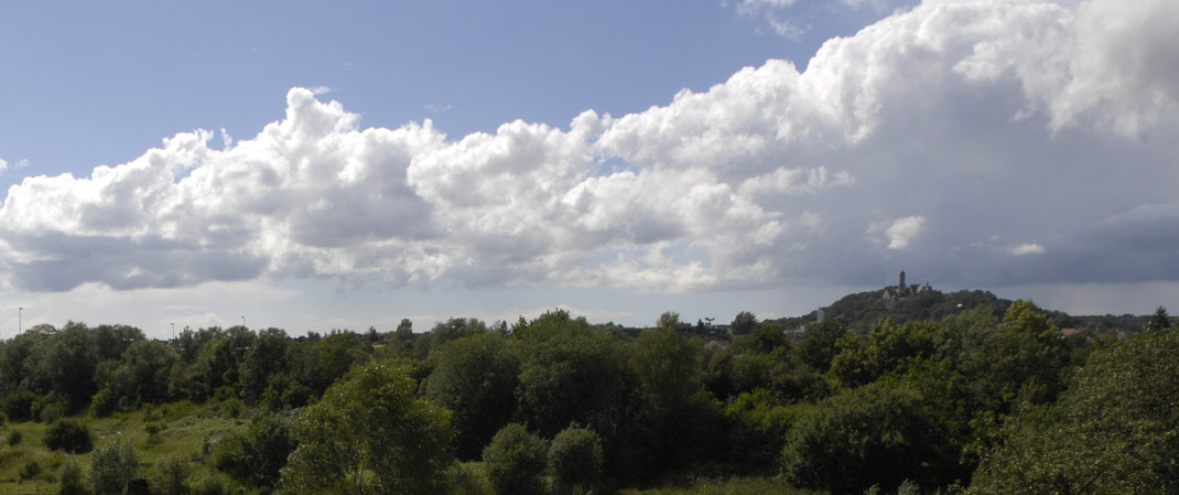 Blick über den Teich auf das Umweltbildungsgelände der Umweltstation Fuchsenwiese