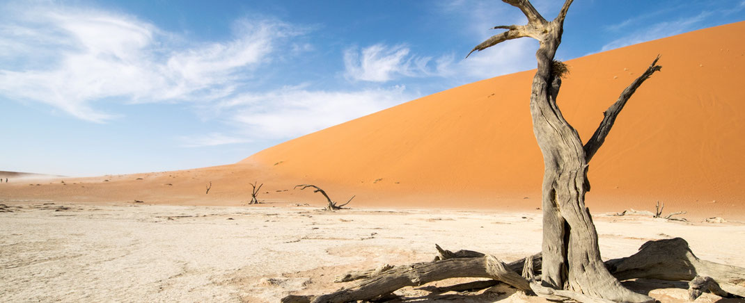Dead Vlei // Namibia