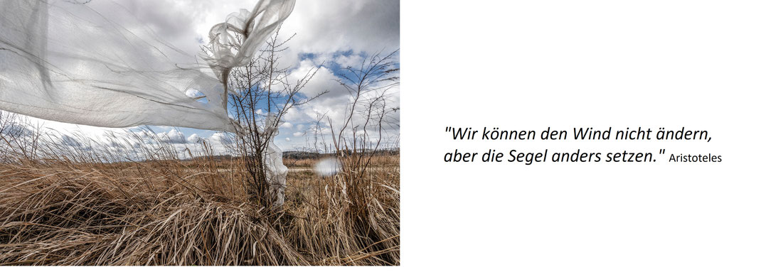 Hier ist eine zu Rahmenbedingungen passende Aufnahme mit einem Zitat von Aristoteles: "Wir können den Wind nicht ändern, aber die Segel anders setzen."