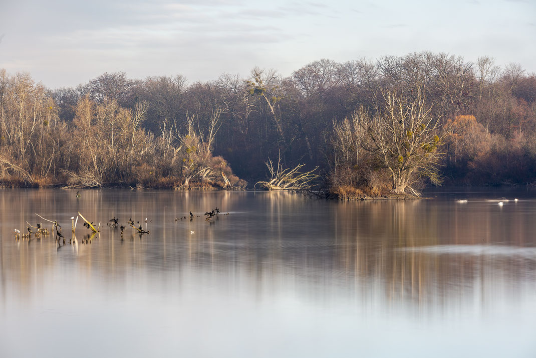 Spot 10 Alt-Rhein | Canon 5D Mark III | EF 70-200/2.8L @145mm | 22s | f/10 | ISO 100