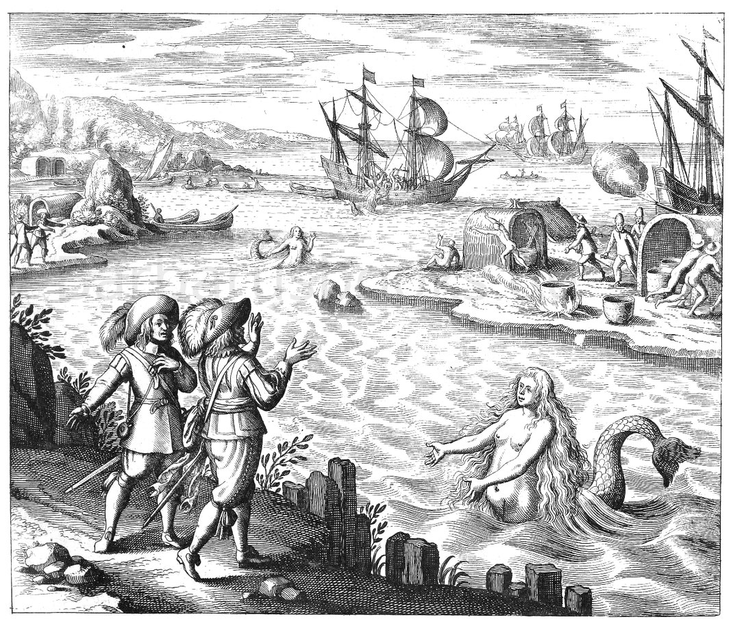 Zeichnung einer Meerjungfrau aus dem Continuatio Americae von 1627.
