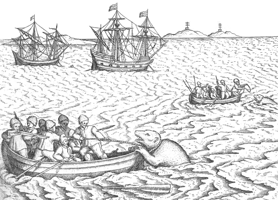 Die Eisbärenjagd im Wasser mit Seilen, Lanzen und Gewehren.