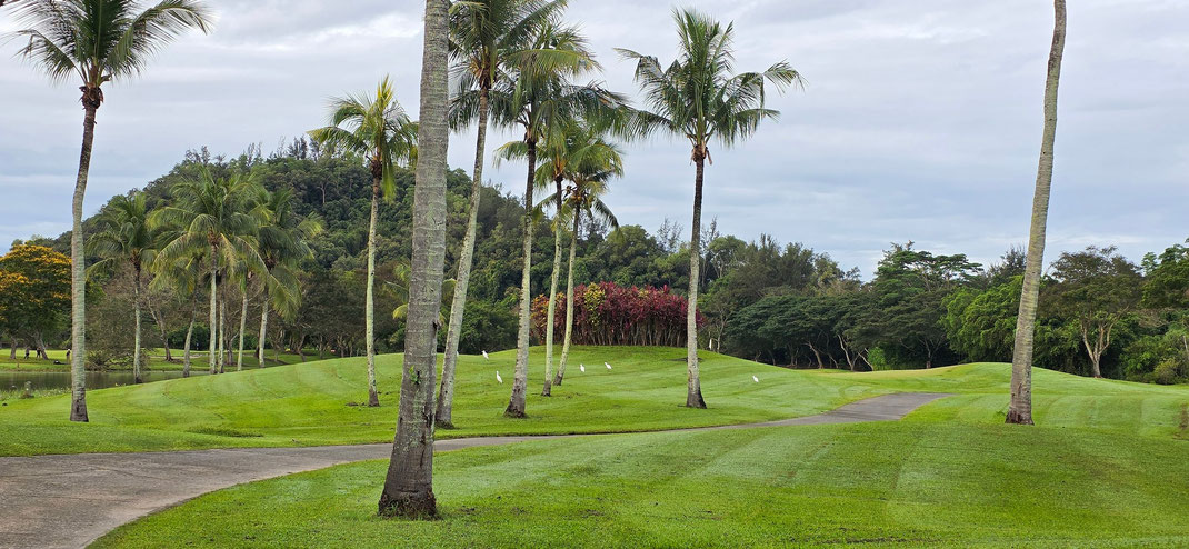 Dalit Bay Golf & Country Club