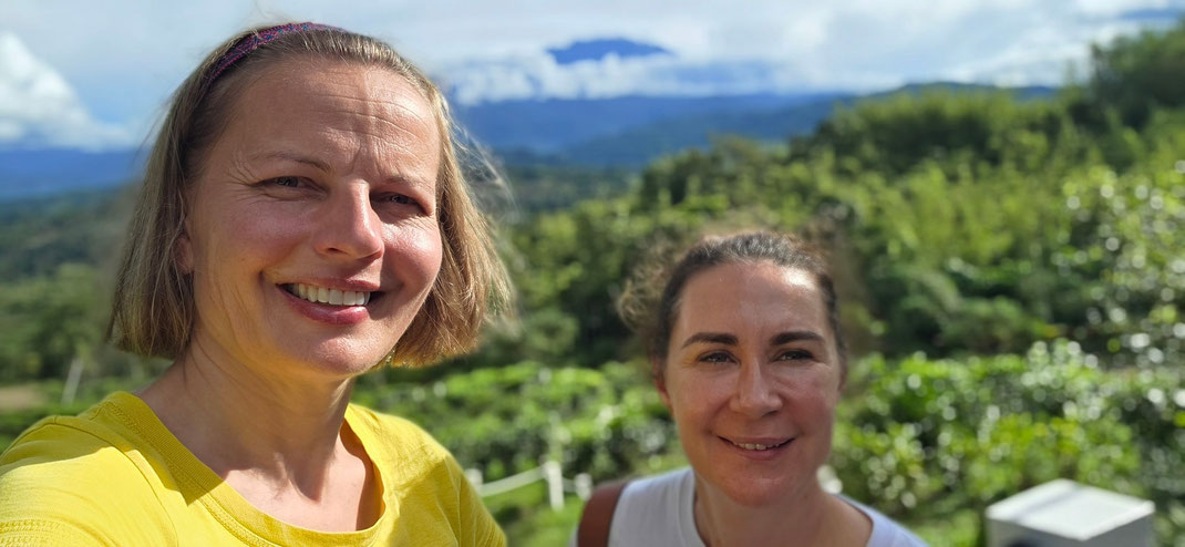 Kinabalu kalno papėdėje