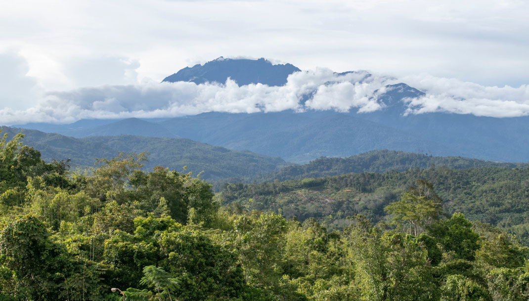 Kinabalu kalnas 