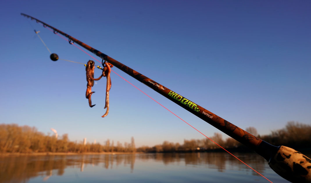 Unauffälliges WILD CAT´z Design, einteiliger und vollparabolischer 185cm Rutenblank mit einer Testkurve von 100g - 220g, wackelfreier Fuji Rollenhalter, robuste Seaguide Ringe