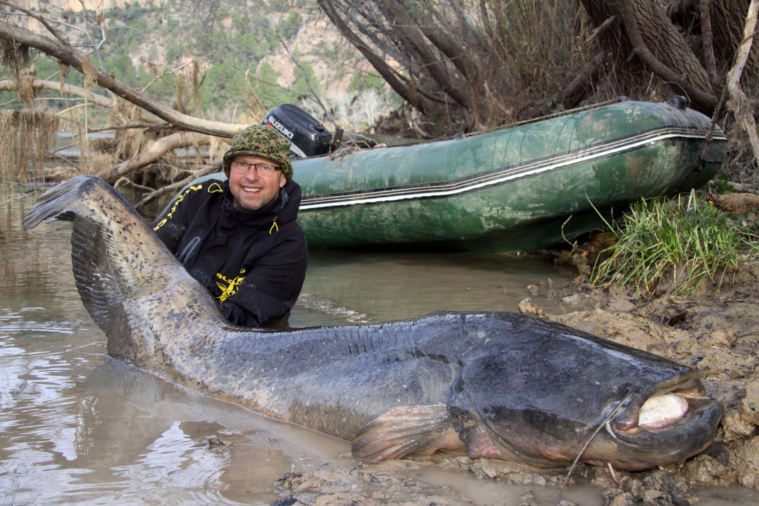 Die beste Taktik ist das Long Range Fischen auf Wels. Bei dieser Angelei auf oft sehr weite Distanzen und um Ecken und Kurven auf der eigenen Uferseite braucht es vorrangig eine Multirolle 