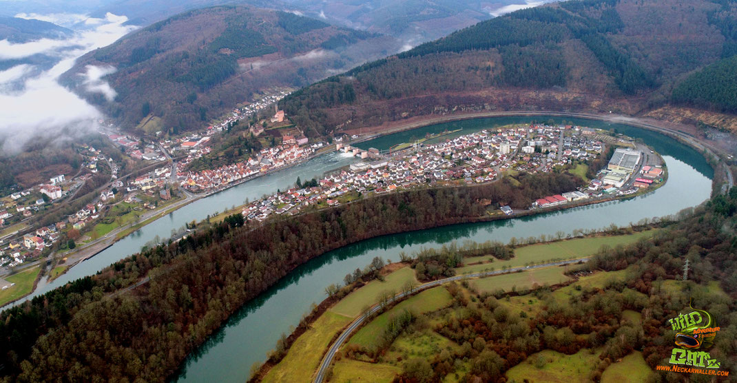 Blick auf die Neckarschleife in Hirschhorn. Mit einer Wassertiefe bis über 10 Meter zählt dieser Bereich zu den tiefsten Bereichen des Neckars.