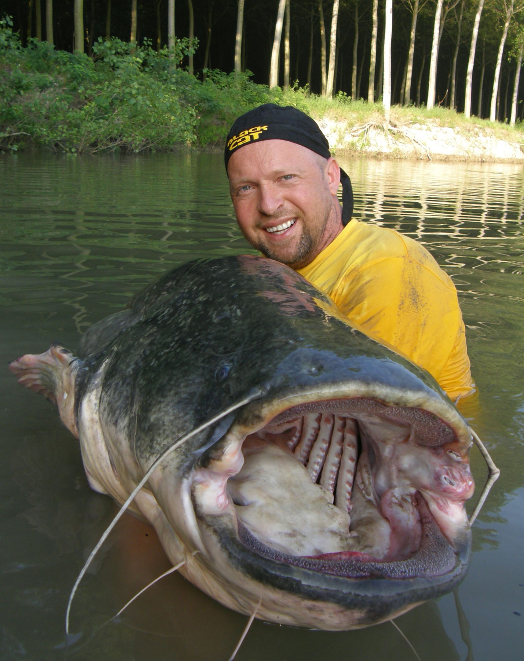 Nach einer letzten Flucht konnte ich den Fisch erfolgreich mit dem Wallergriff landen.Beim späteren Wiegen zeigt der Räuber ein stattliches Gewicht von 72 Kilo.