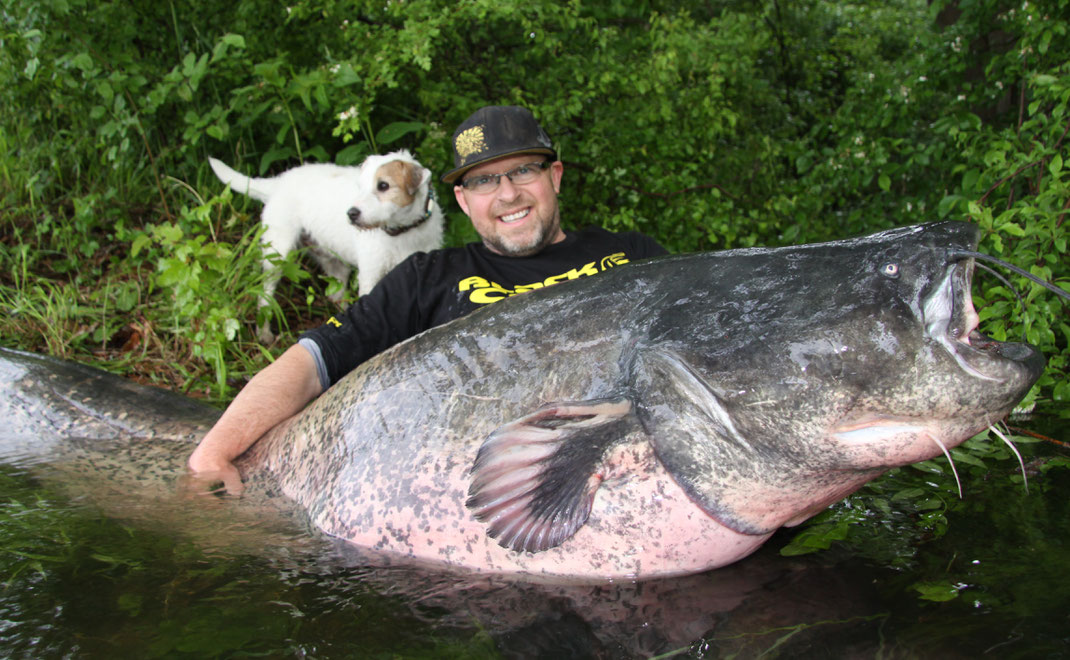 Ausnahmefisch bringt 247 cm auf das Maßband