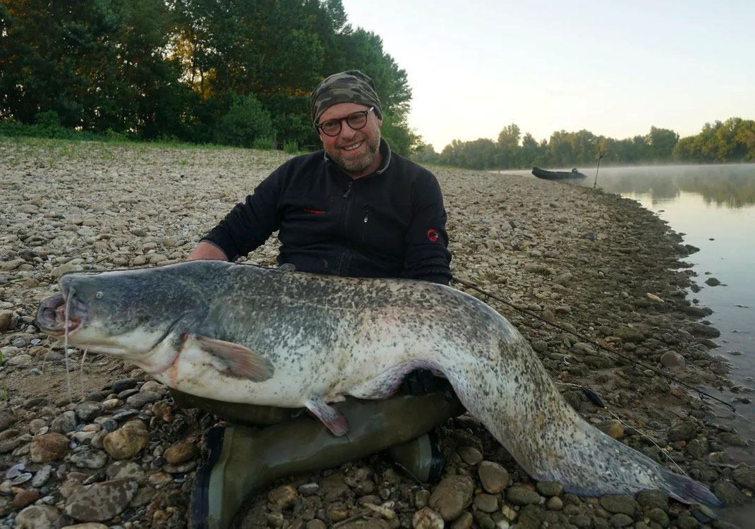 Wo im Fluss die Waller sich aufhalten war uns durch die gemachten Erfahrungen wirklich klar, wir konnten es von daher total entspannt angehen lassen. 