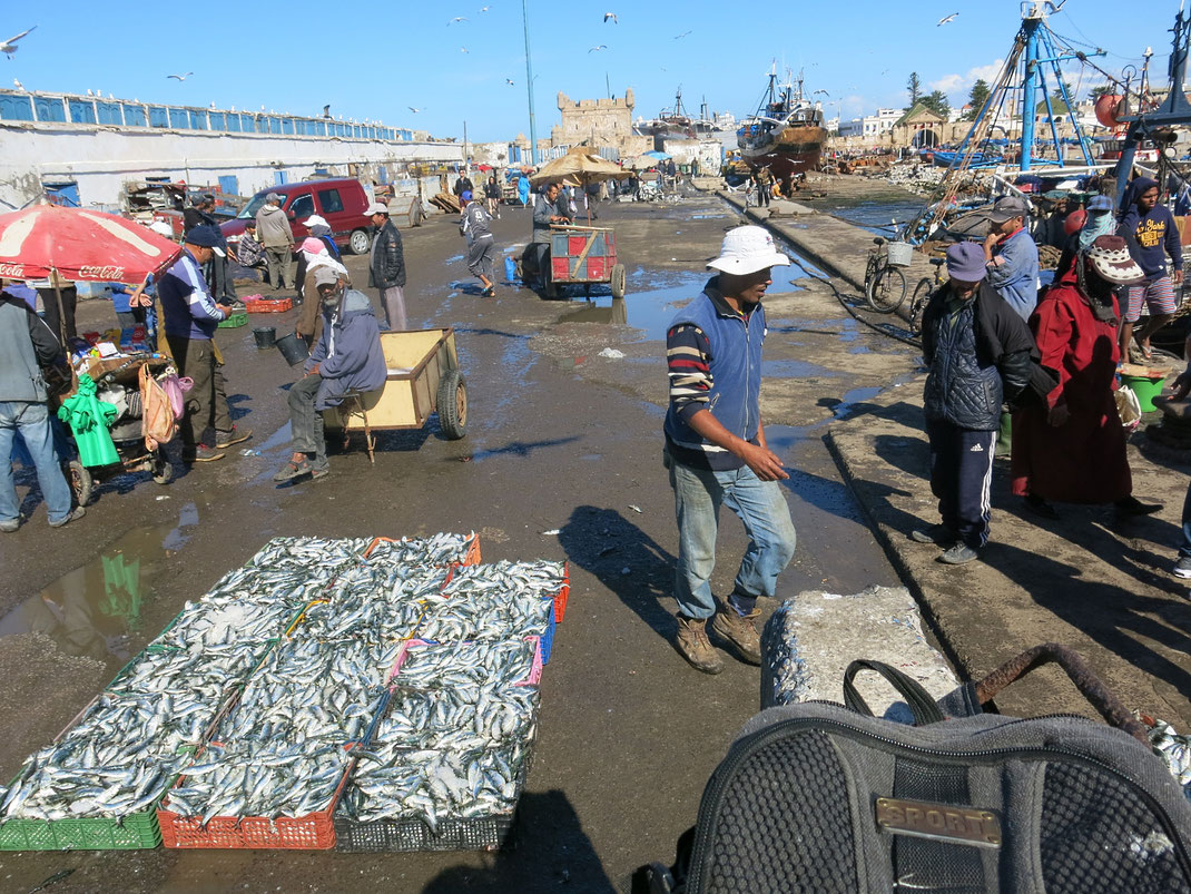 Bei den Fischern im Hafen von Essaouira frischen Fisch kaufen und für 10 Dirham im Restaurant Marssa grillade grillen lassen. Kenne ich so nur aus Marokko.