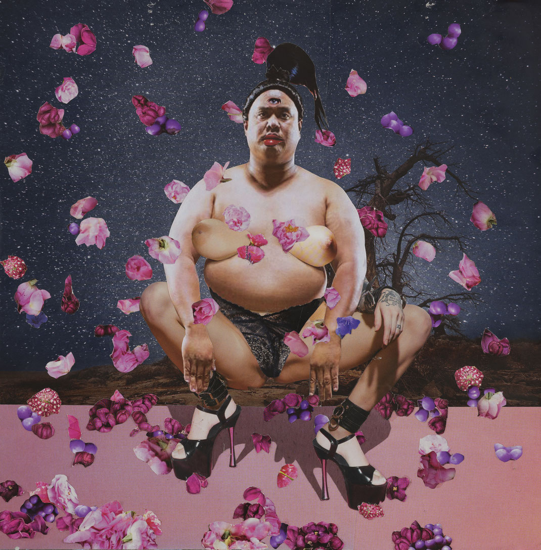 Sakura Sumo, Collage, 40x40cm