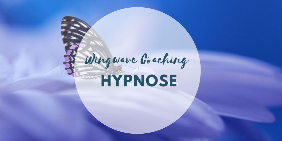 wingwave und hypnose Hamburg