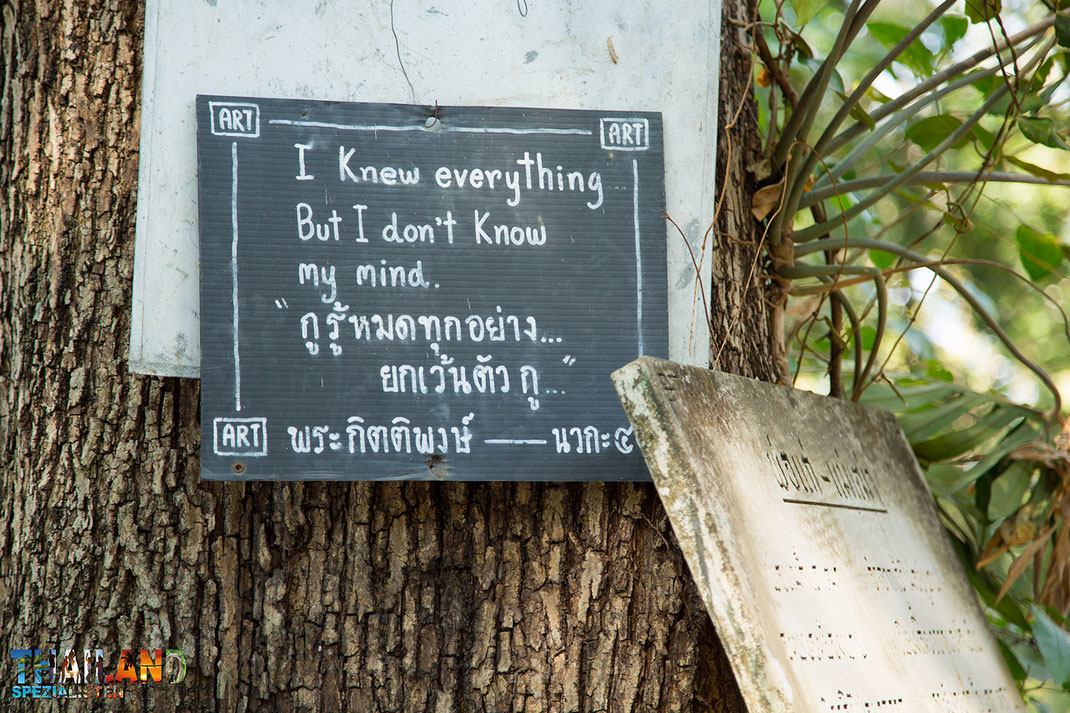Wisdom Trees Wat Umong