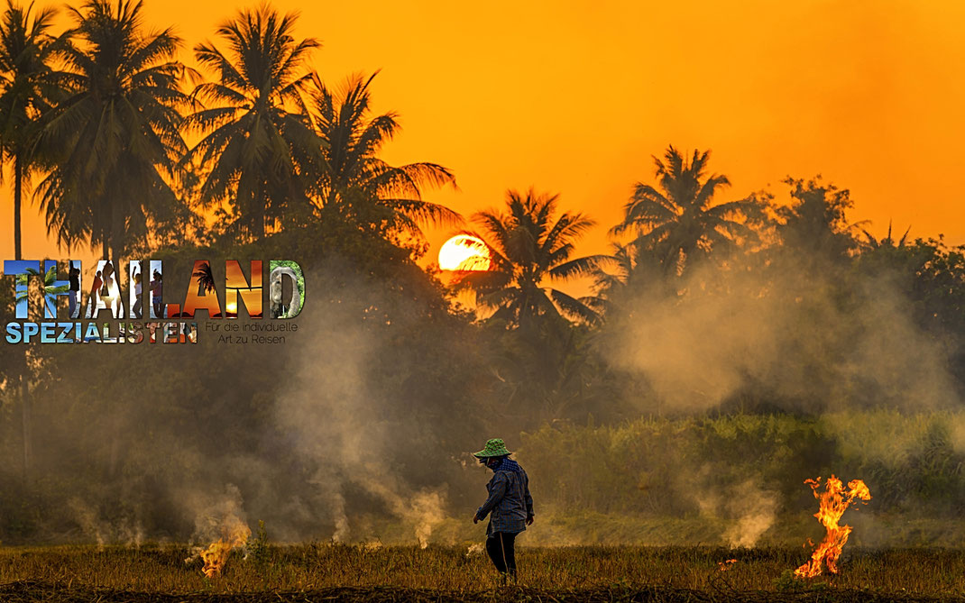 Burning Season in Thailand wann & wo besteht ein Risiko und wie kann ich es minimieren?