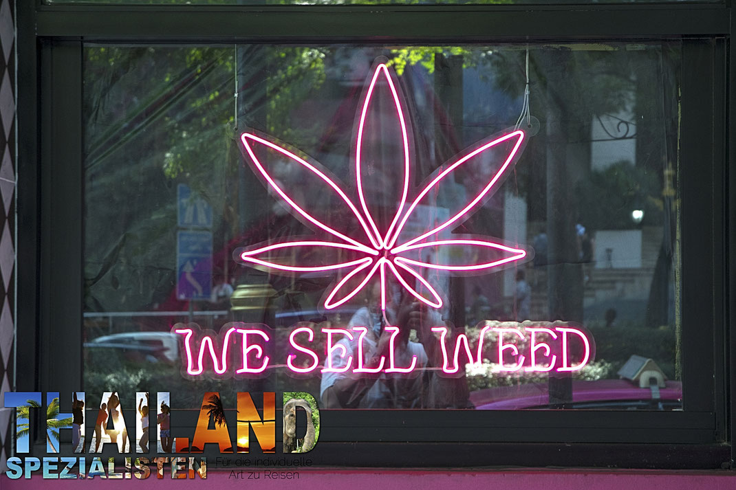 Bangkok, Thailand - 12. Februar 2023 An einem legalisierten Cannabis-Geschäft in Bangkok