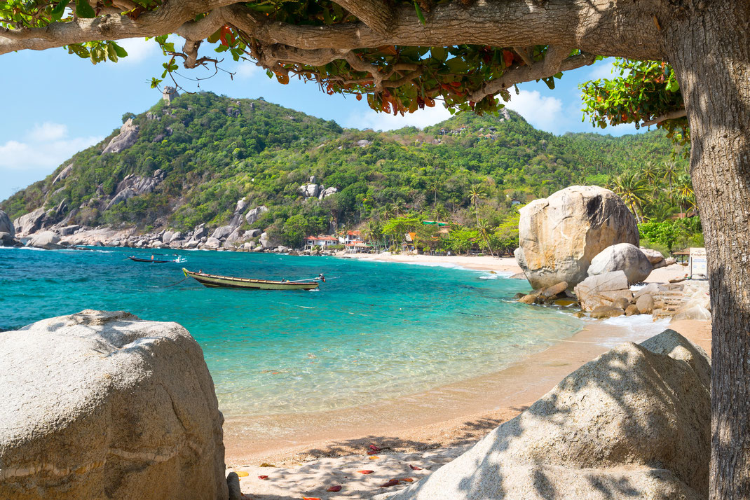 Urlaub auf Kohlen Tao