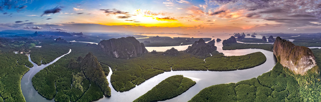Phang Nga Bucht Mangrovenwälder