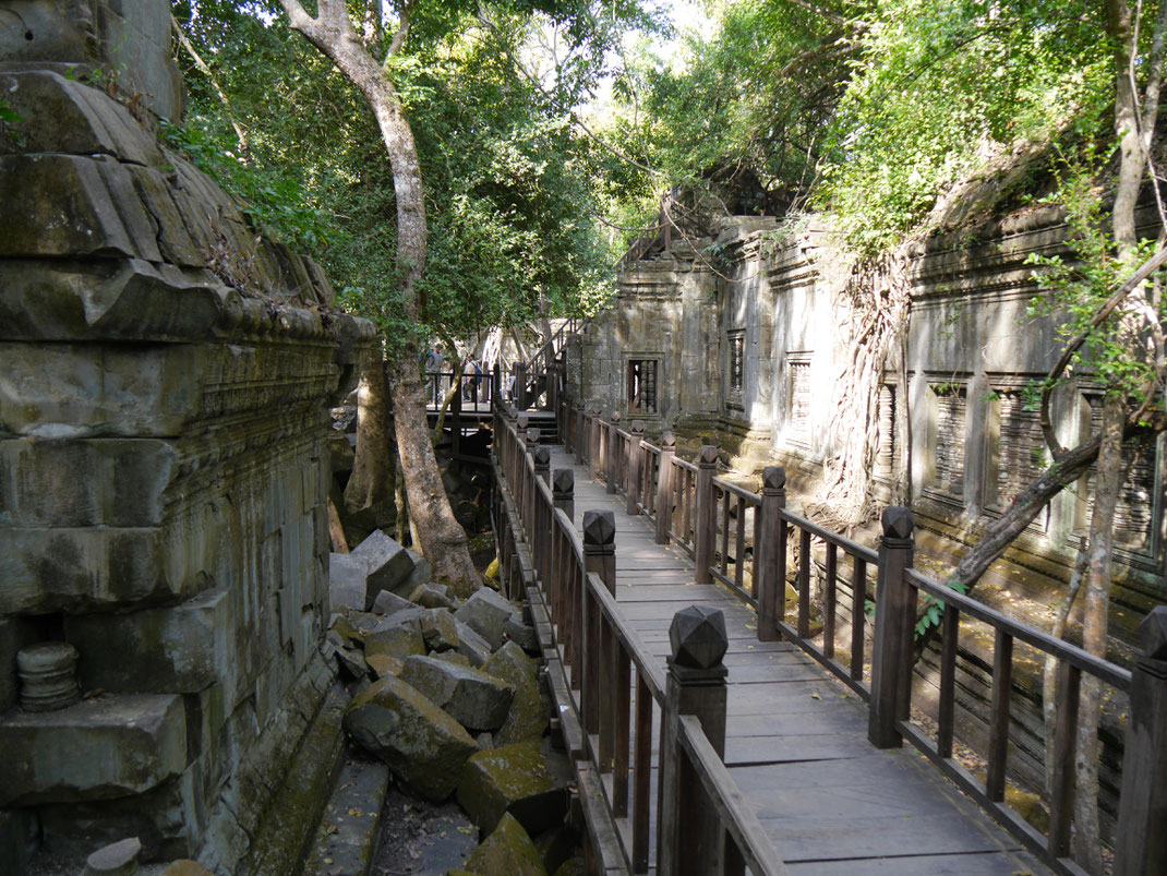 Die Stege eines Filmteams sind hilfreich... Beng Mealea, Kambodscha (Foto Jörg Schwarz)