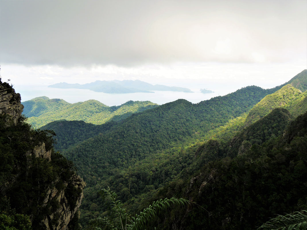 Was für ein überwältigender Blick auf das Dach des Regenwalds beim Gunung Mat Cincang, Langkawi, Malaysia (Foto Jörg Schwarz)