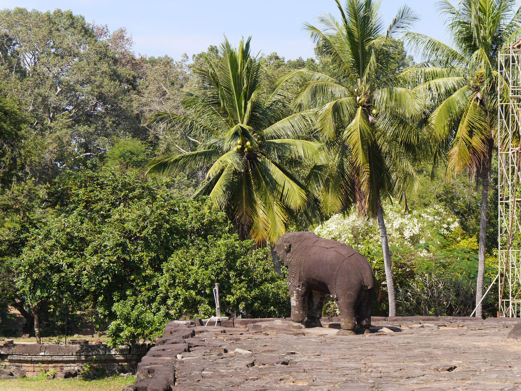 Elefantentrümmer stehen am Bakong, Kambodscha (Foto Jörg Schwarz)