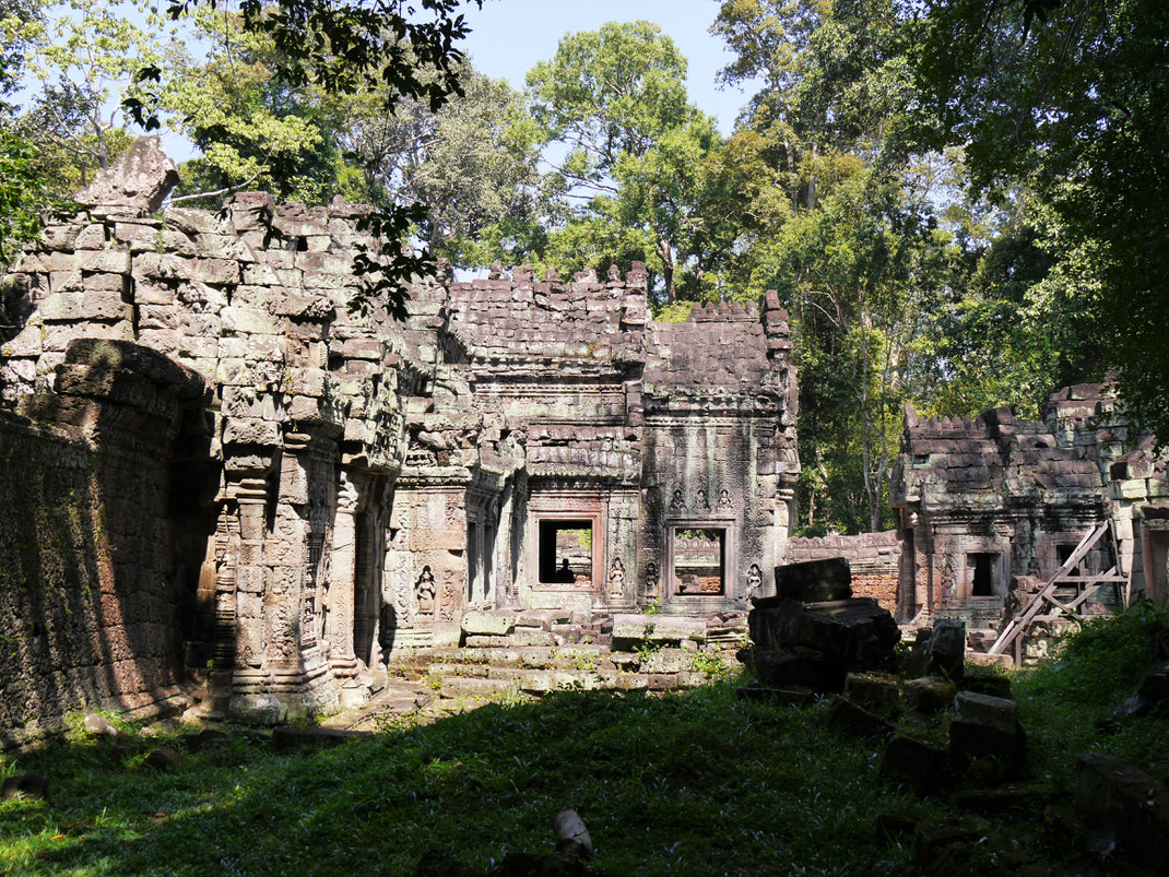 Wunderbare Strukturen lassen das Archäologenherz höher schlagen... Preah Khan, Kambodscha (Foto Jörg Schwarz)