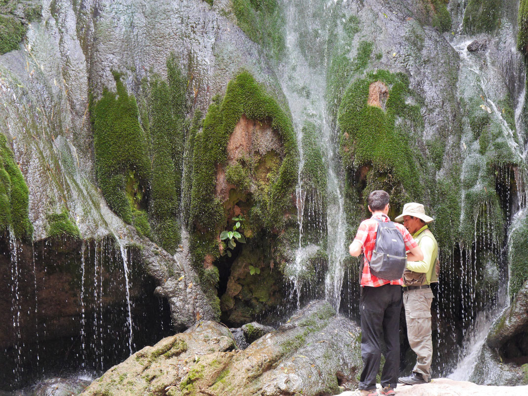 Im Canon dominieren Wasser und Wasserfälle... Toro Toro, Bolivien (Foto Jörg Schwarz)