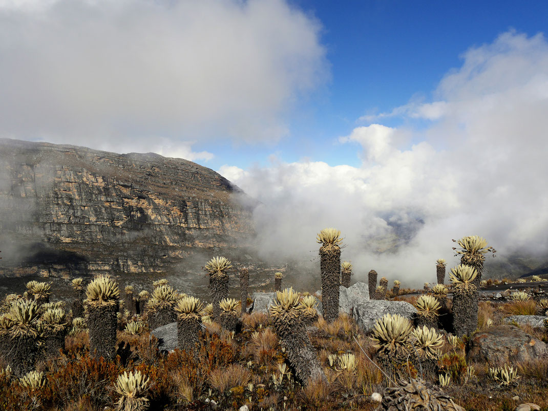 Der Blick in den unbeschreiblich schönen El Cocuy-Nationalpark, Kolumbien (Foto Jörg Schwarz)