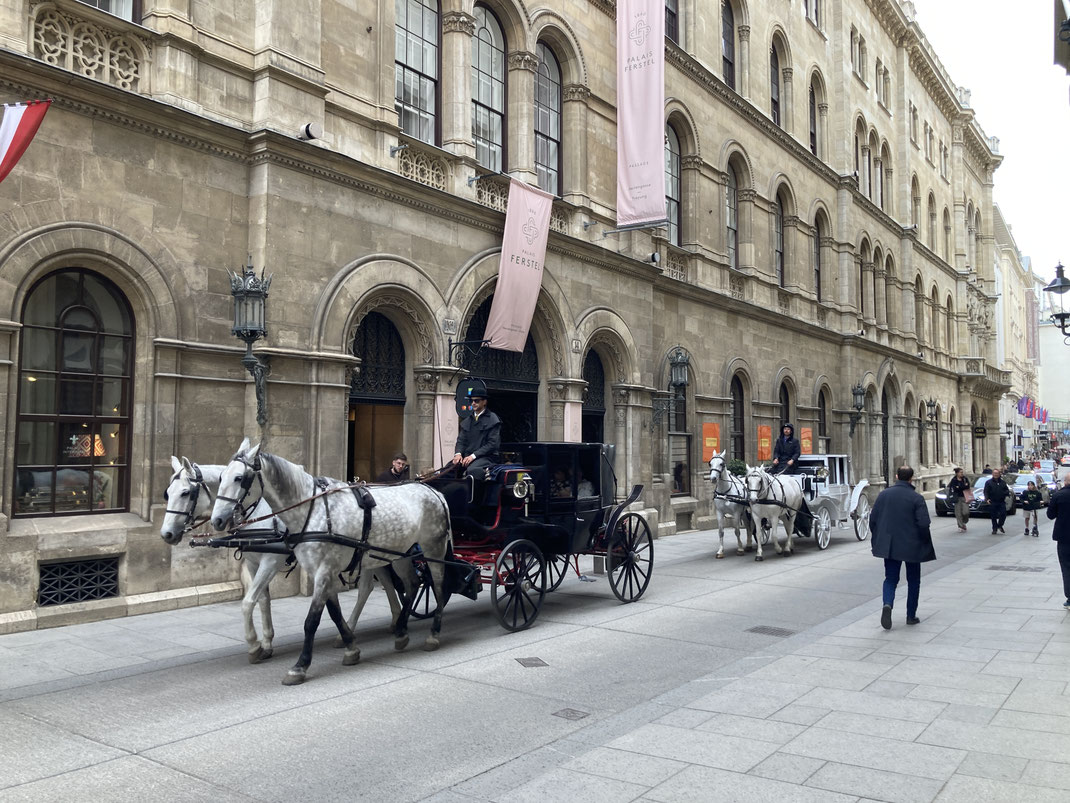Österreich Wien Donau Fotographie Reiseblog Reisereportage Spurenwechsler Reise Urlaub Städtetrip Geheimtipp slow travel Backpacker