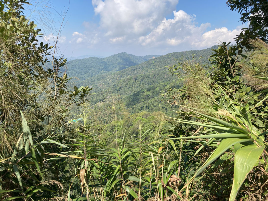 Wer das echte Kambodscha abseits der Sehenswürdigkeiten sehen aber auf letztere gleichwohl nicht verzichten möchte, der sollte sich in der Region Preah Vihear umsehen... Kambodscha (Foto Jörg Schwarz)