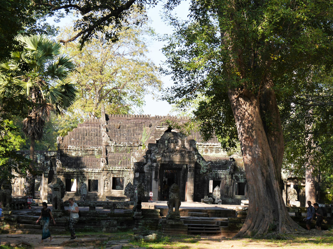 Umrahmt von wunderbarem Wald ist Banteay Kdei eine stimmungsvolle Angelegenheit... Banteay Kdei, Kambodscha (Foto Jörg Schwarz)