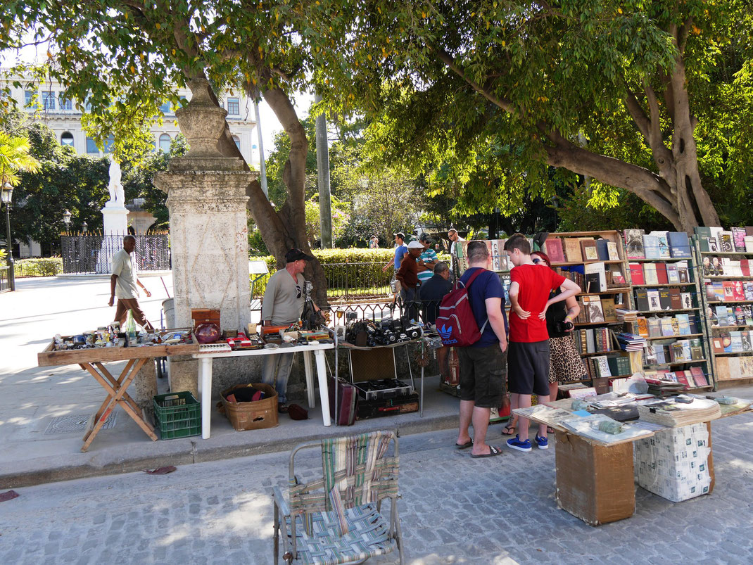 In Havanna mit alten Büchern sein Spanisch aufbessern (Foto Jörg Schwarz)