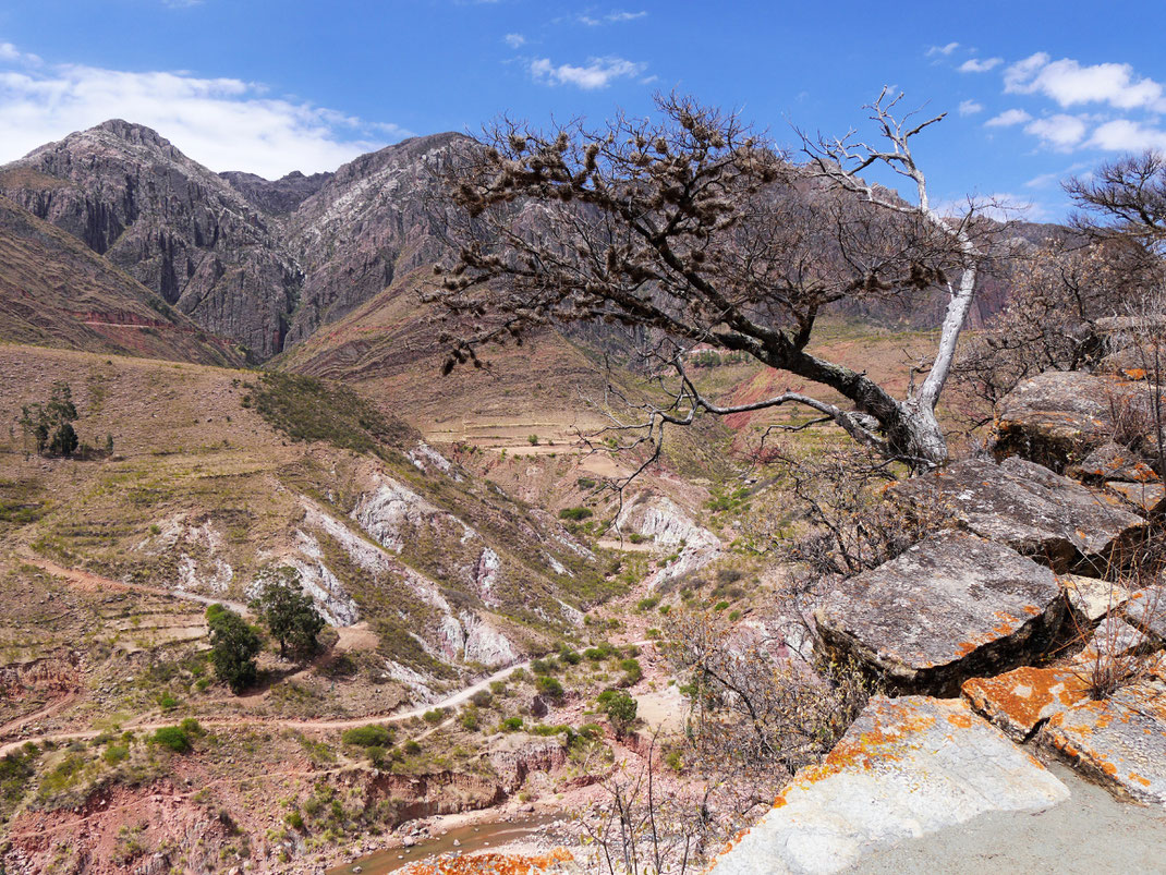 Die Ausssichten sind grandios! Cordillera de los Frailes, Bolivien (Foto Jörg Schwarz)