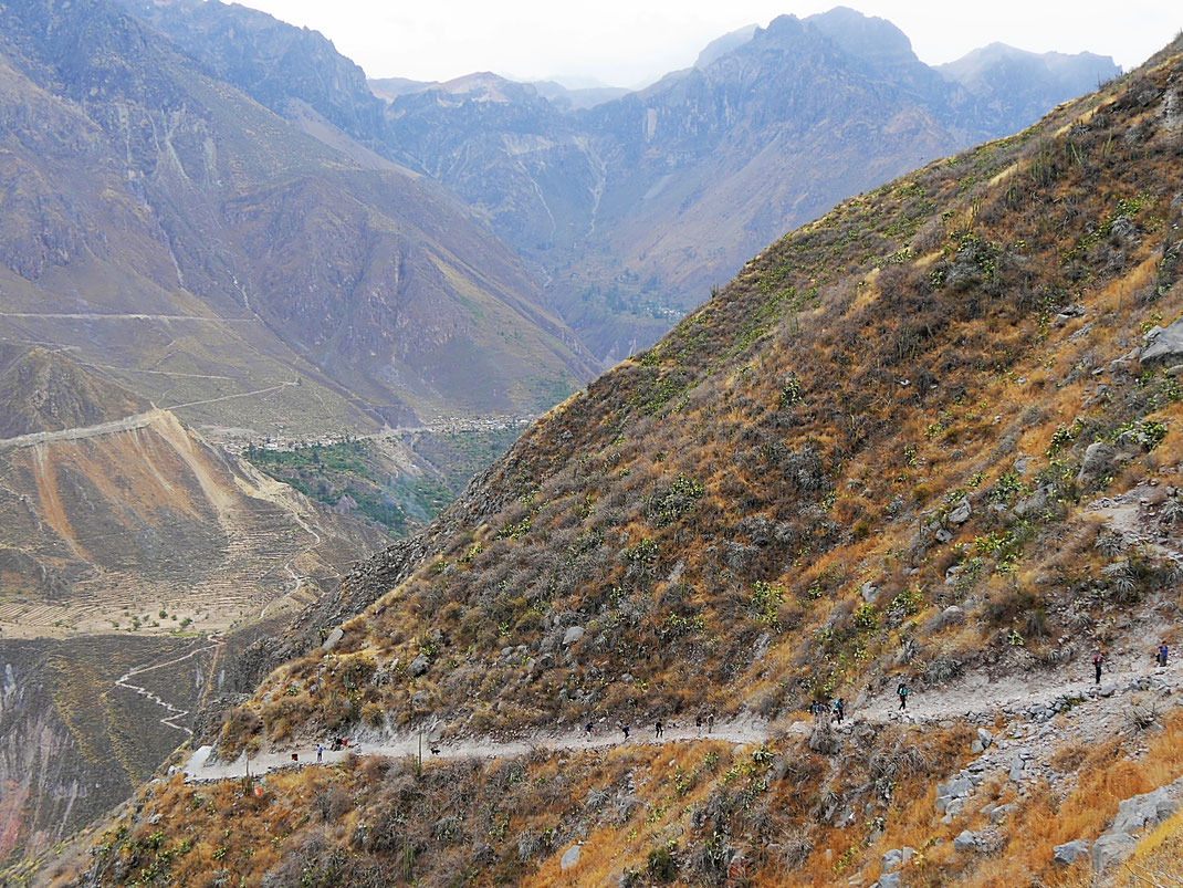 Die Schlange der aufsteigenden Trekker ist heute lang... Colca-Canon, Peru (Foto Jörg Schwarz)