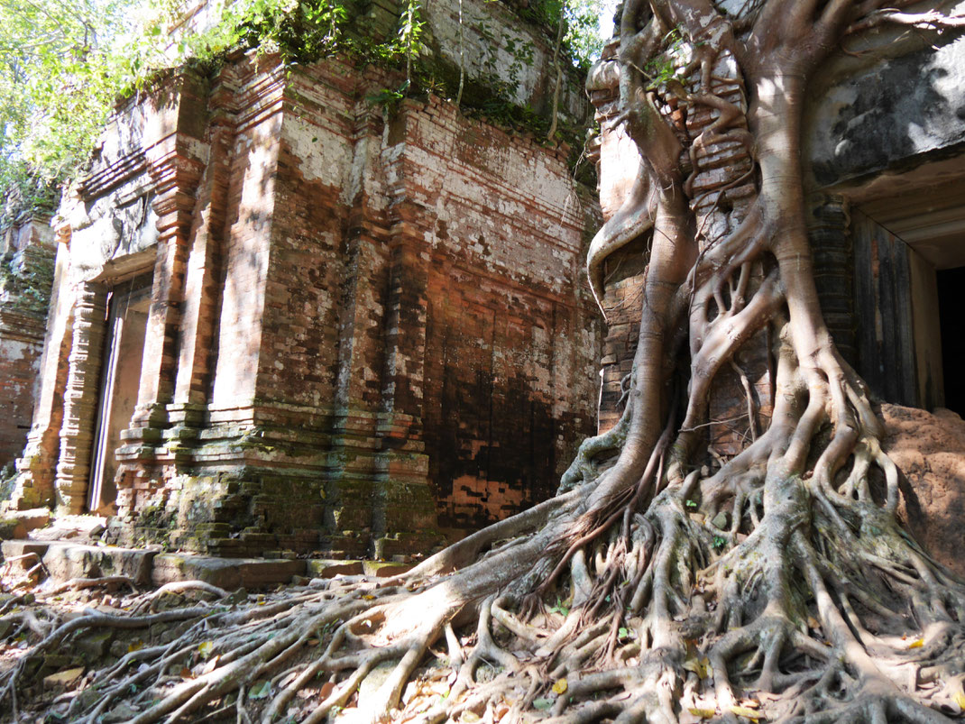 Region Preah Vihear, Kambodscha (Foto Jörg Schwarz)