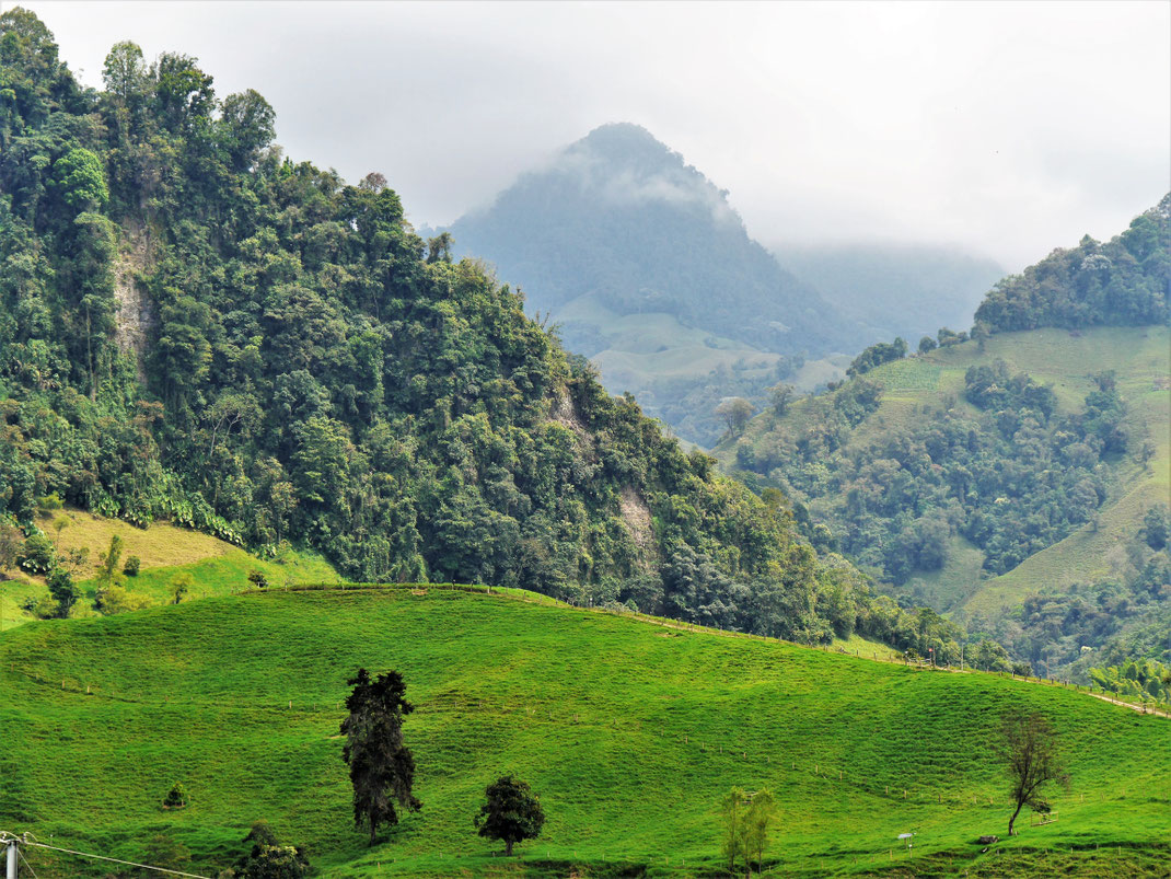 Spurenwechsler slow travel slowtravel Reiseblog Reisereportagen Reiseberichte Reisetipps Kolumbien Trekking Natur Kultur Reise Reisefotografie 