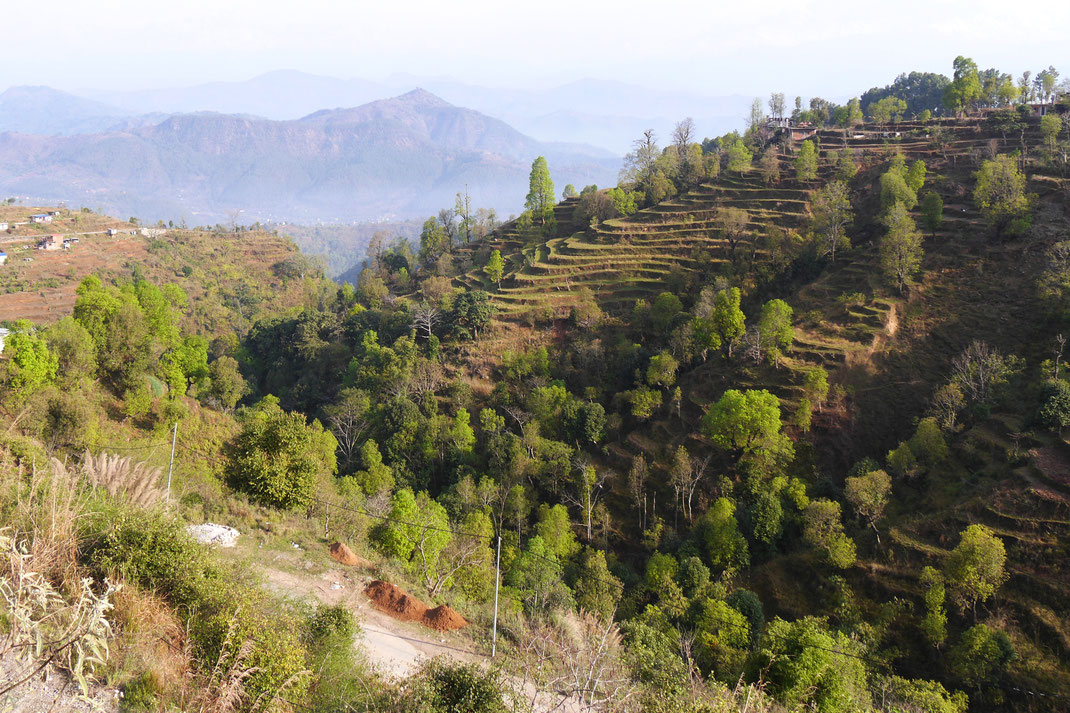Bandipur Gorgkha Nuwakot Kathmandu Patan Nepal Lalitpur Bhaktapur Fotographie Reiseblog Reisereportage Spurenwechsler Reise Urlaub Städtetrip Geheimtipp slow travel Backpacker